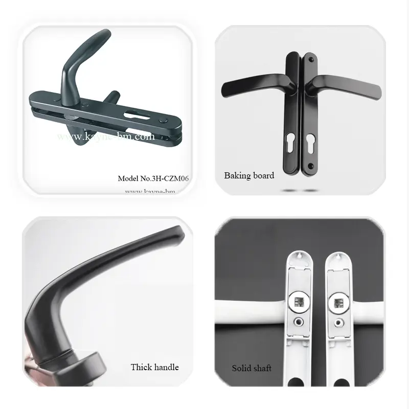 features door lever.jpg